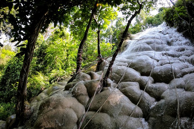 Sticky Waterfall Cycling Tour - Key points to know before booking