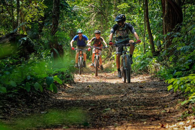 Sticky Waterfall Cycling Tour - Who should book this cycling day?