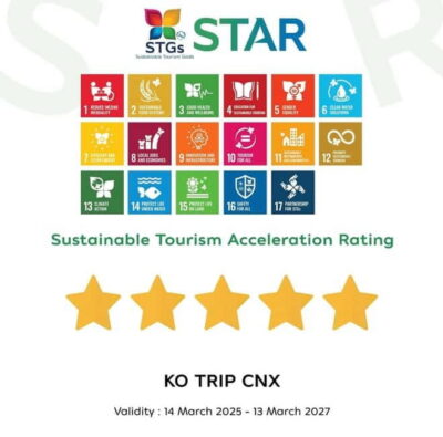 Taste of Chiang Mai: Michelin Guide & Street Food Tour