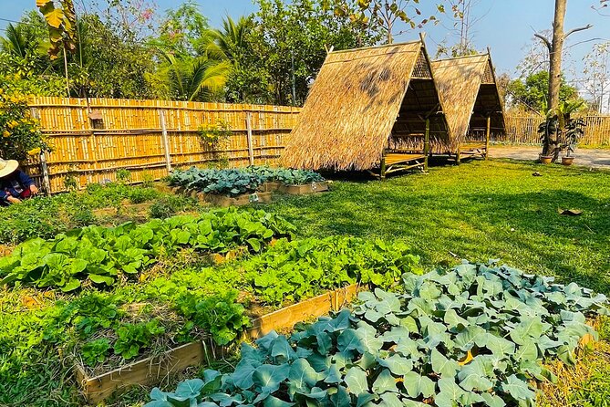 Team Aim Thai Cooking School (#1 Cooking Class in Chiang Mai) - What you receive for $34.01