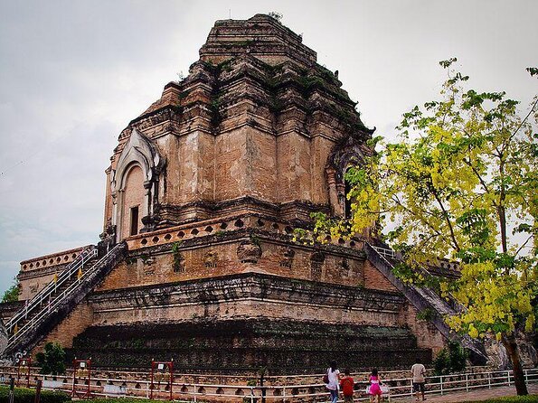 The Best City Tour View Points Wat Doi Suthep, Wat Chedi Luang and Wat Pha Lat - Wat Pha Lat is the quiet reward