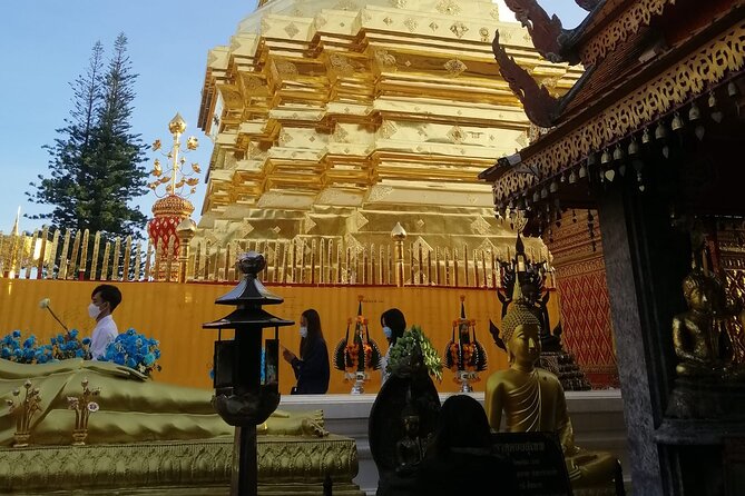 The Best Full Day Tour: Doi Suthep, Wat Phalat, Sticky Waterfall - Bua Thong Sticky Waterfall for the afternoon