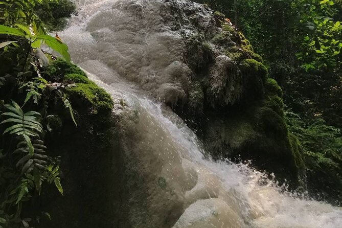 The Best Full Day Tour: Doi Suthep, Wat Phalat, Sticky Waterfall - What the guide adds to the day