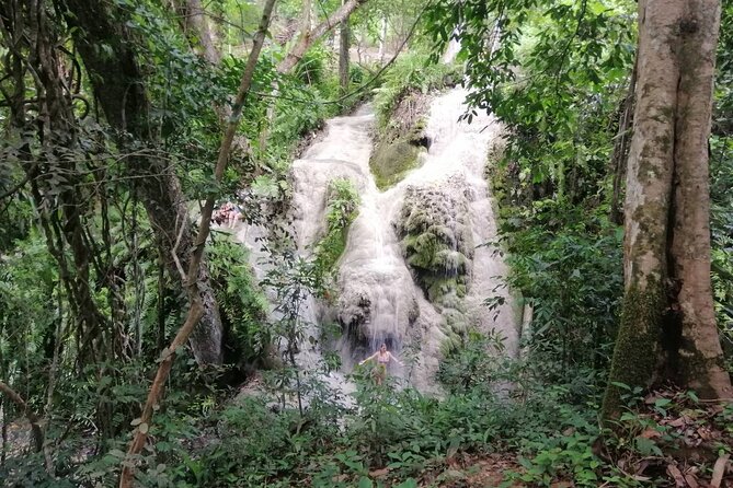 The Best Full Day Tour: Doi Suthep, Wat Phalat, Sticky Waterfall - The long day, transport, and physical effort