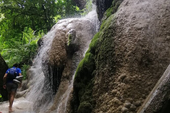 The Best Full Day Tour: Doi Suthep, Wat Phalat, Sticky Waterfall - Wat Pha Lat and the quiet forest setting
