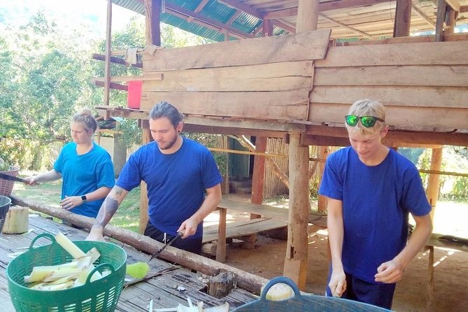 Top Pick - Full or Half Day @Elephant in Wild Sanctuary ChiangMai - Is $42.04 a good value?
