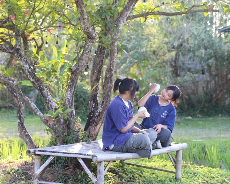 Workshop Making Herbal ball & herbal inhaler - The first stage: choosing herbs for an herbal ball