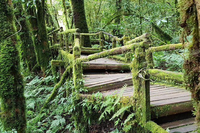 Wow! Doi Inthanon National Park Adventure, Lunch & Entry Included - Wachirathan Falls: the first big reward
