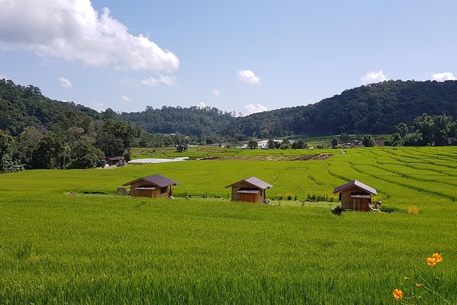 Wow! Doi Inthanon National Park Adventure, Lunch & Entry Included - Reaching Thailand’s highest point