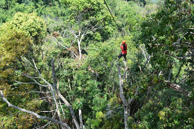 Zipline Adventure at Skyline Jungle Luge Chiang Mai - Views, old trees, and the forest setting